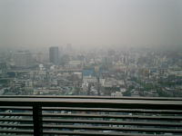 okushon_window