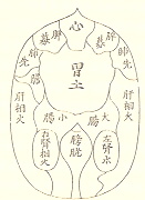 夢分流腹診