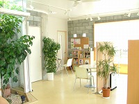 完成(天井色塗り)