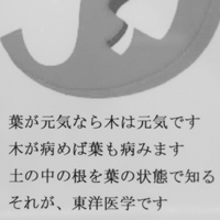 マークの解説