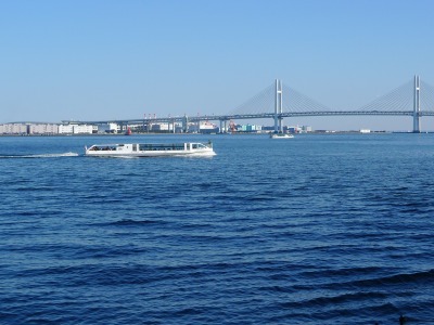 シーバスと横浜ベイブリッジ