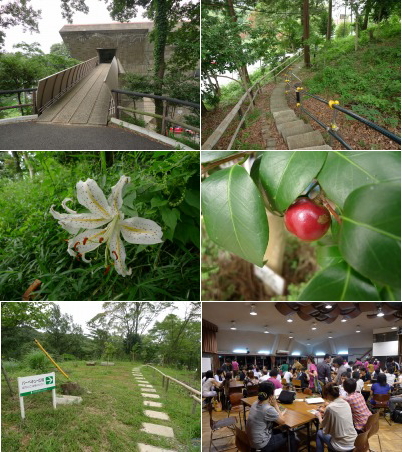 tcmn2009_02