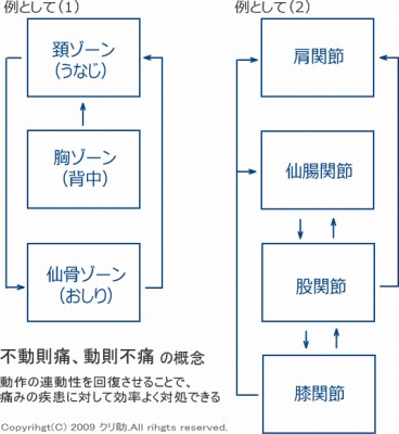 動作の連動性回復概念図