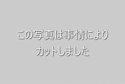 この写真はカットしました