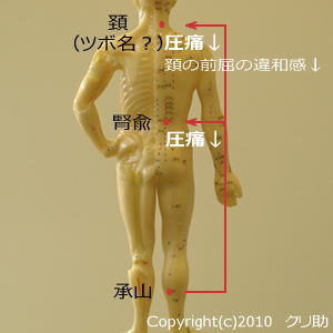 頚椎腎兪承山