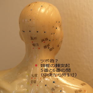 頚椎5番
