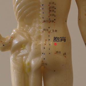 胞肓