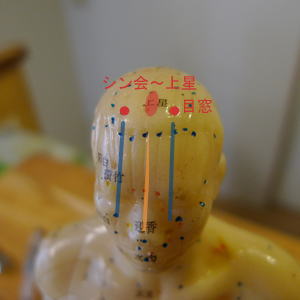 目窓上星