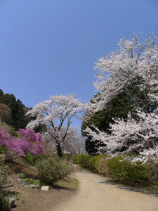 P1020343