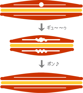 活法研究会_導引(気導整筋法)のイメージ