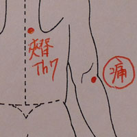 肘痛と夾脊穴（Th7）