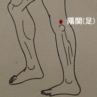 陽関(足)