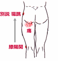 膝陽関