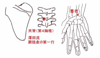 厥陰兪一行と養老