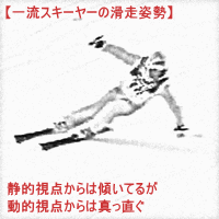 一流スキーヤーの姿勢