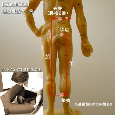 古武術鍼法_連動構造の一例