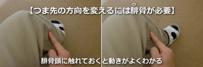 腓骨頭の動きをチェック