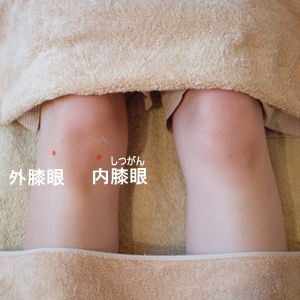膝眼（外膝眼・内膝眼）