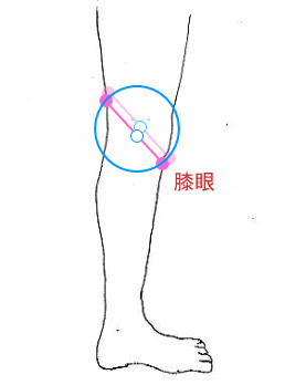 膝と円軌道