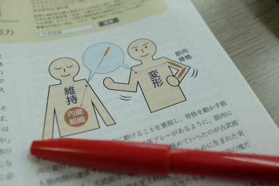 鍼灸師のための経穴デザイン入門(第6回)