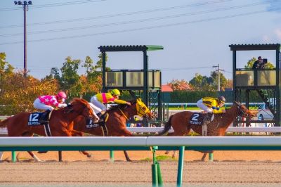 競馬