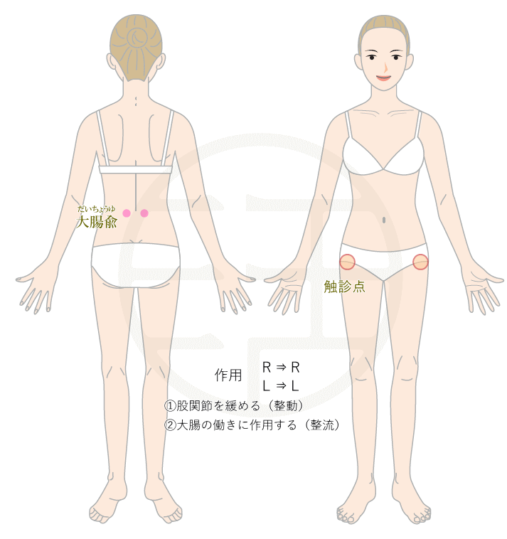 大腸兪と股関節