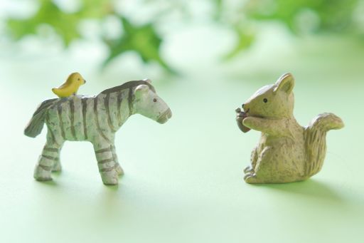 シマウマとリス