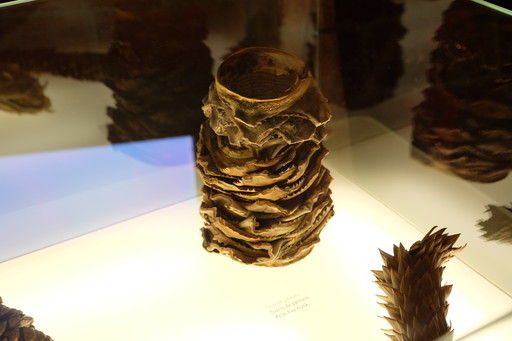 カサ・ミラの展示物