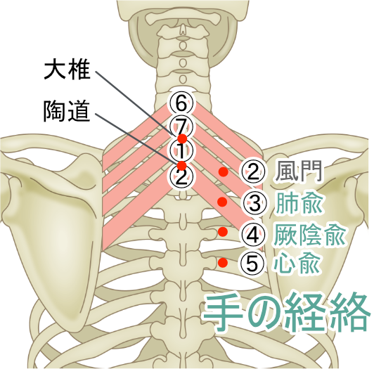 手の経絡