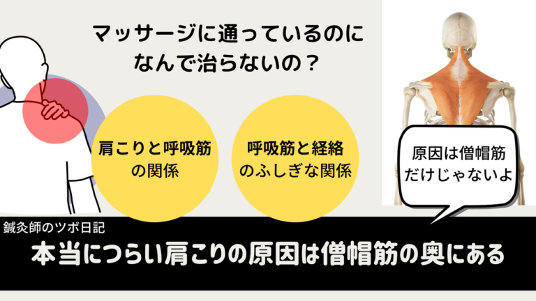 本当につらい肩こりの原因は僧帽筋の奥にある