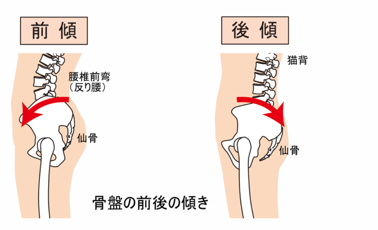 骨盤の前後の傾き