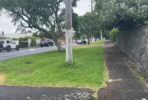 オークランド住宅街の道路