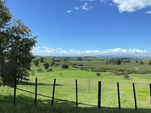 ニュージーランドの景色