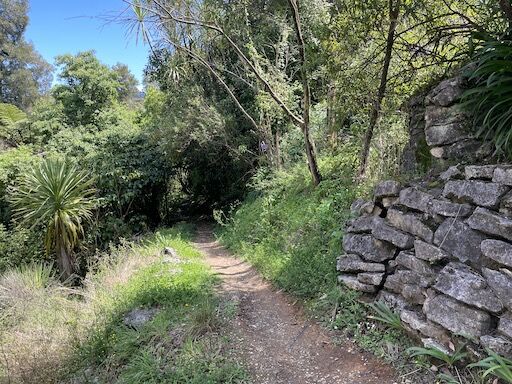 Waitomo Walkway