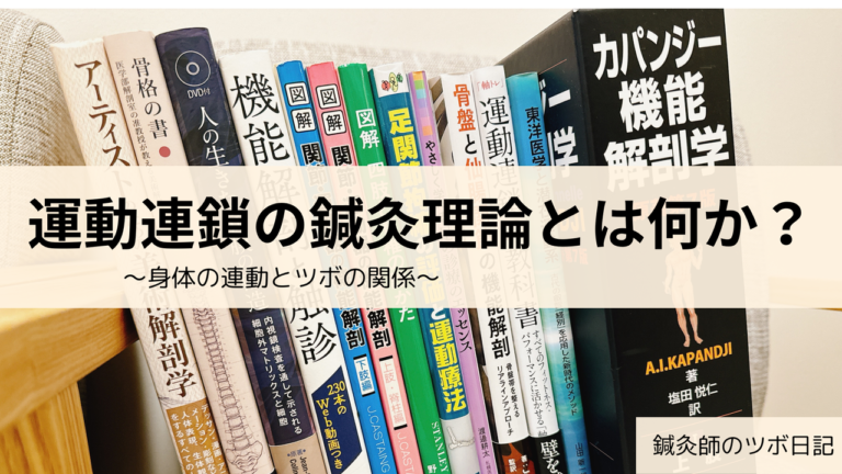 運動連鎖の鍼灸理論とは何か