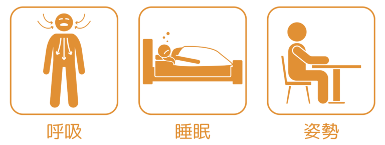 呼吸、睡眠、姿勢
