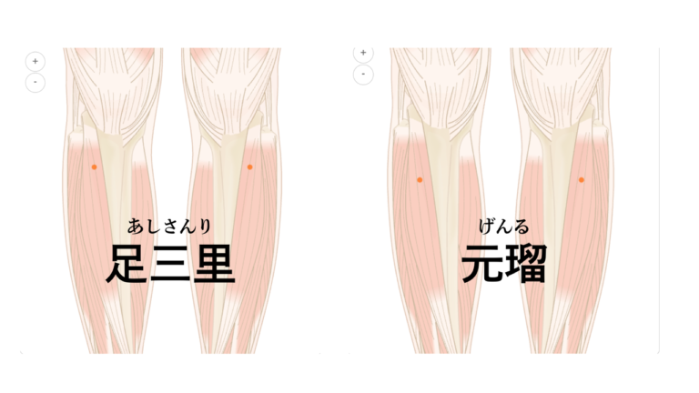足三里と元瑠