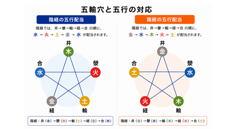 五輸穴と五行の配当
