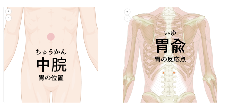 中脘と胃兪