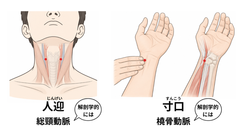 人迎と寸口