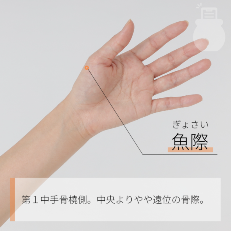 魚際（ツボ）