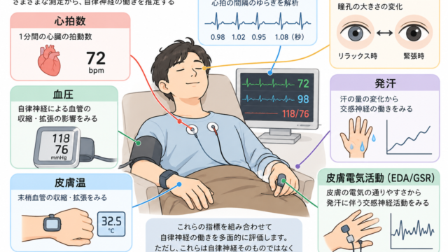 自律神経を評価する主な指標